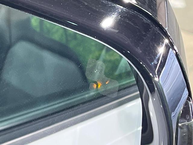 24179853_carP_l_2.jpg