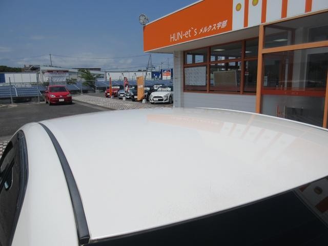 25070898_carP_l_19.jpg