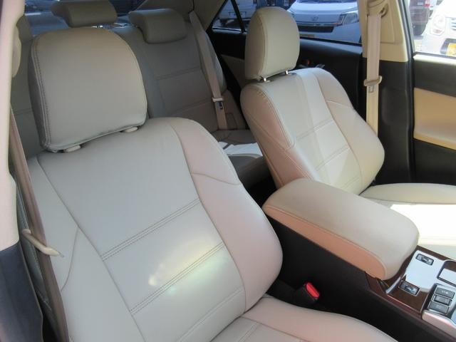 25070898_carP_l_9.jpg