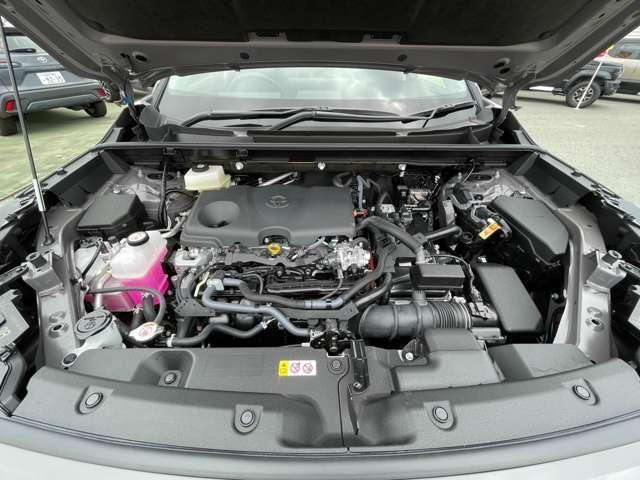 26294755_carP_l_19.jpg
