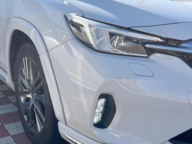27138586_carP_l_6.jpg
