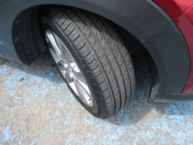 a16942ff600e11d06cce8fb3c92558c1.jpg
