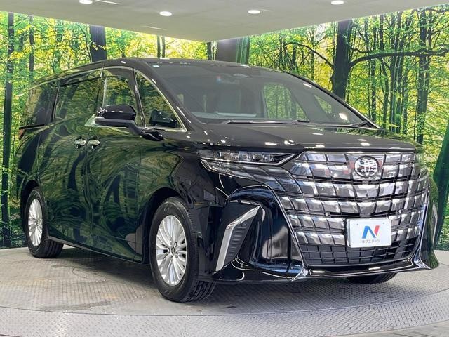 26816659_carP_l_11.jpg