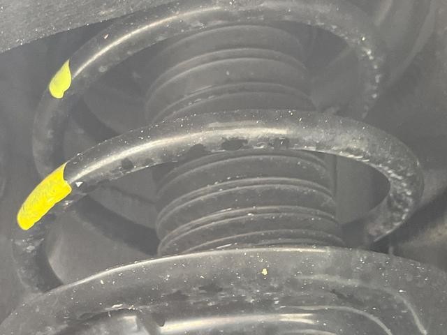 26816659_carP_l_20.jpg