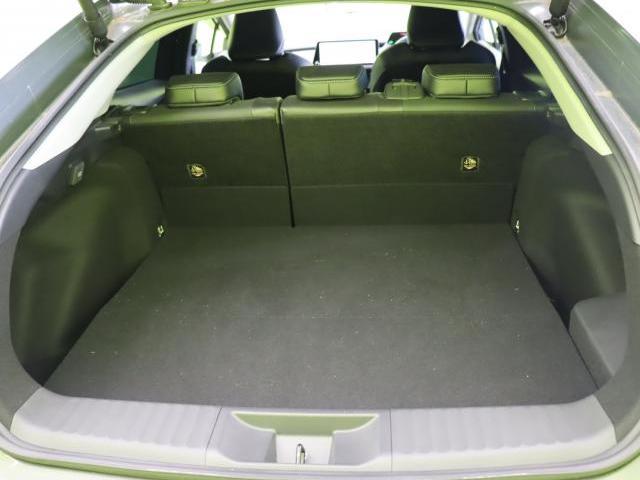 24576275_carP_l_7.jpg