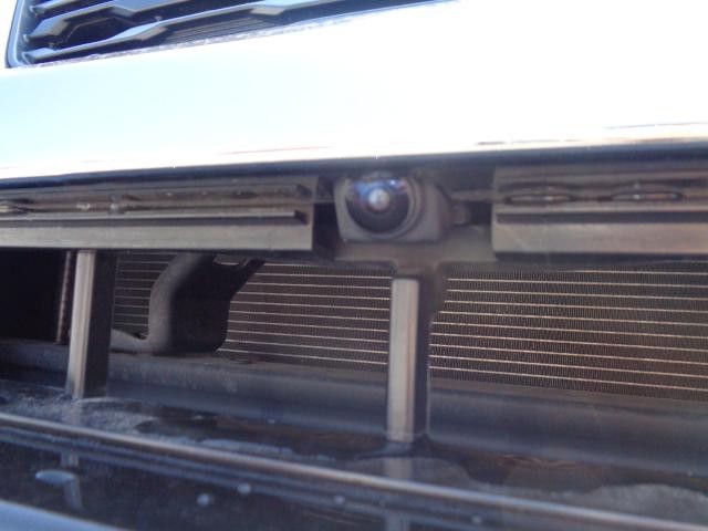 25431277_carP_l_6.jpg