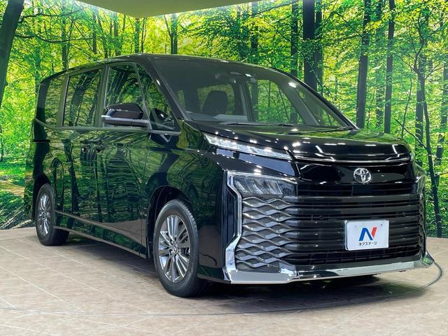 23112607_carP_l_12.jpg