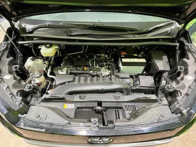 23112607_carP_l_18.jpg