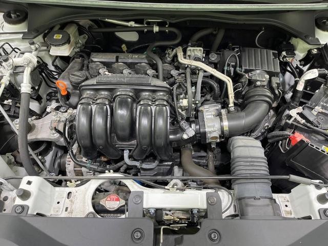 26947135_carP_l_16.jpg