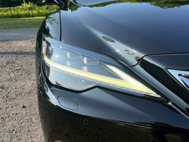 25324359_carP_l_2.jpg