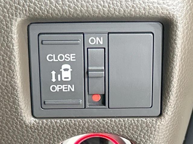 25793282_carP_l_14.jpg