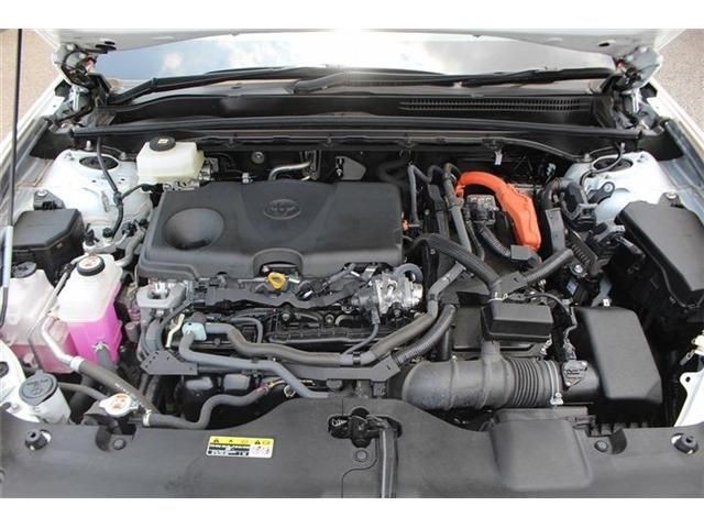 e21fbea084faad22d5467ee7dbdde3c0.jpg