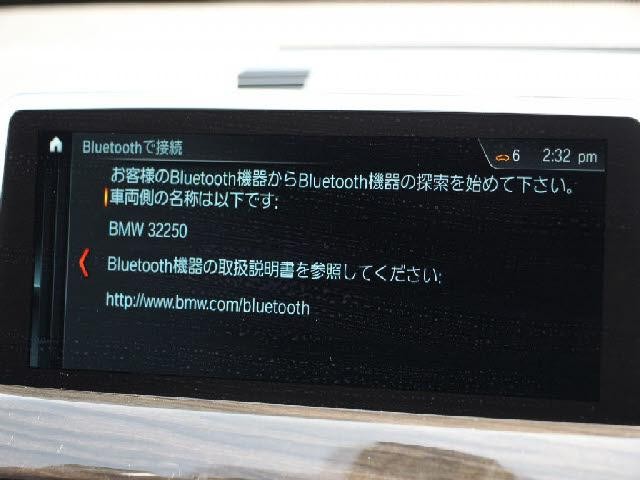 25324556_carP_l_10.jpg