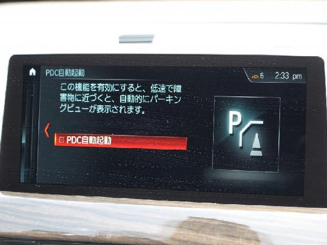 25324556_carP_l_19.jpg