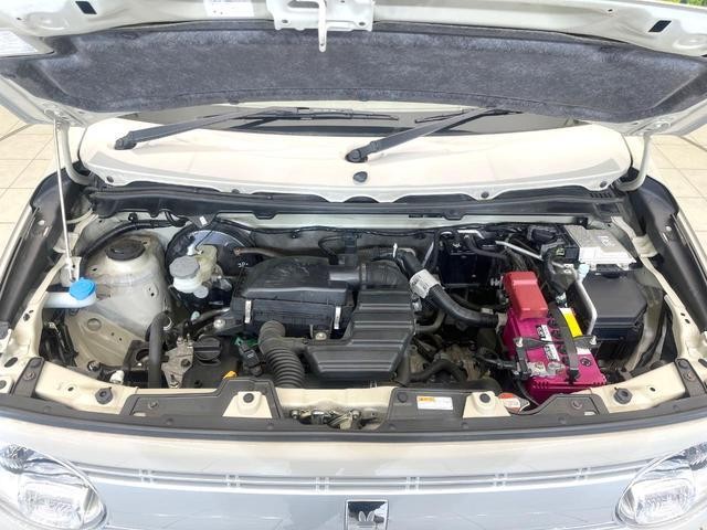 25774166_carP_l_16.jpg