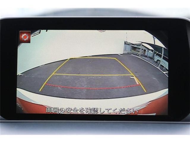 25152364_carP_l_15.jpg