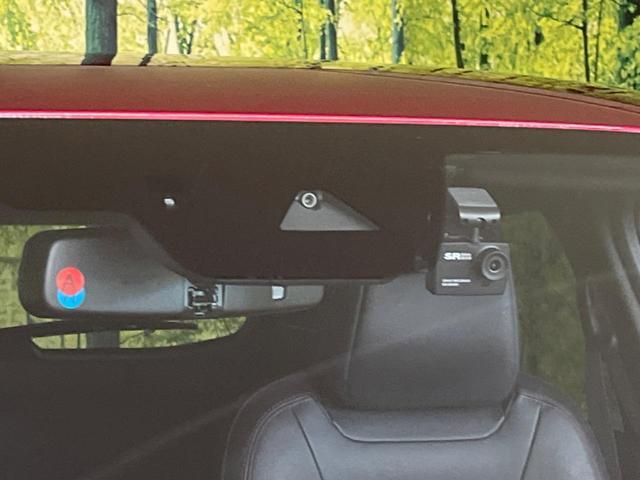 24891738_carP_l_15.jpg
