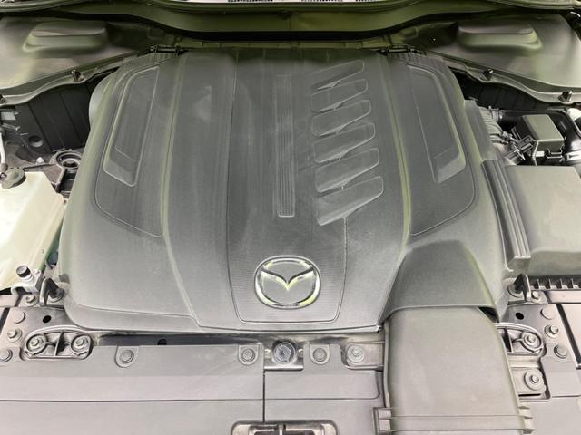 24891740_carP_l_16.jpg
