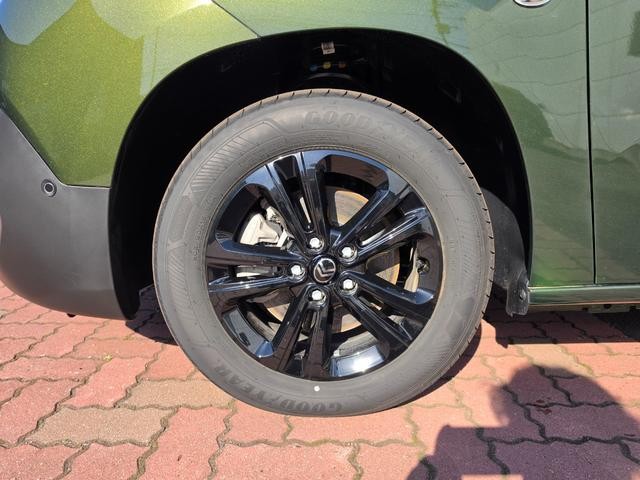 0403504A30260515W00104.jpg