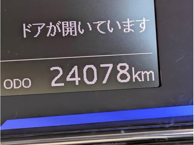1100943A30260430W00519.jpg
