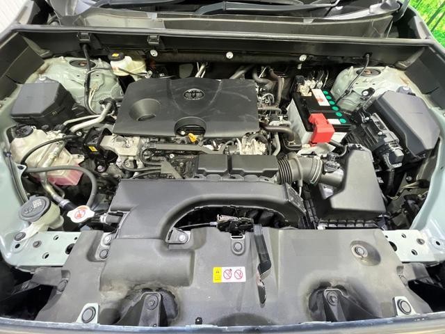 26968400_carP_l_18.jpg