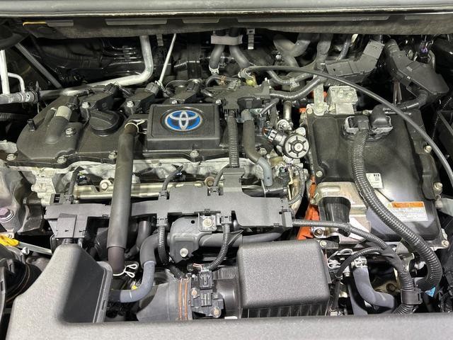 26578595_carP_l_18.jpg