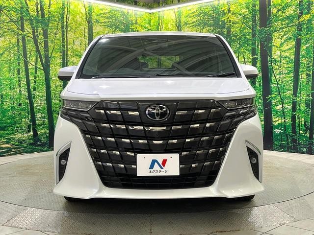 27011758_carP_l_11.jpg