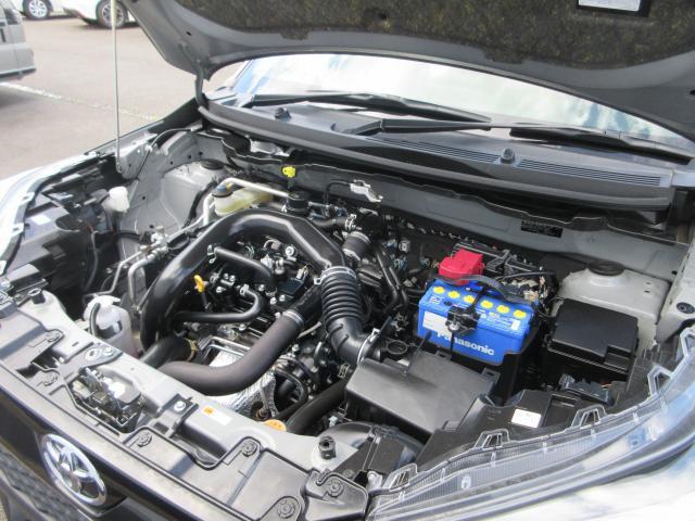 24218335_carP_l_20.jpg