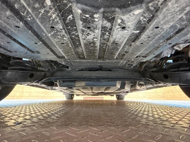 25793342_carP_l_18.jpg