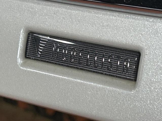 26601349_carP_l_4.jpg
