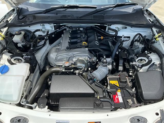 0541526A30260830W00319.jpg