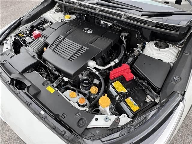 26082347_carP_l_8.jpg