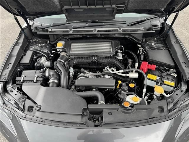 26082374_carP_l_8.jpg