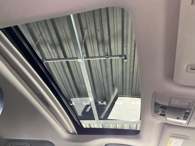 26774270_carP_l_4.jpg
