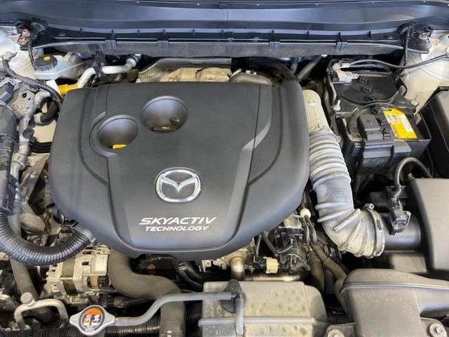 26838719_carP_l_16.jpg