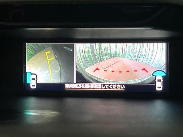 24218862_carP_l_10.jpg