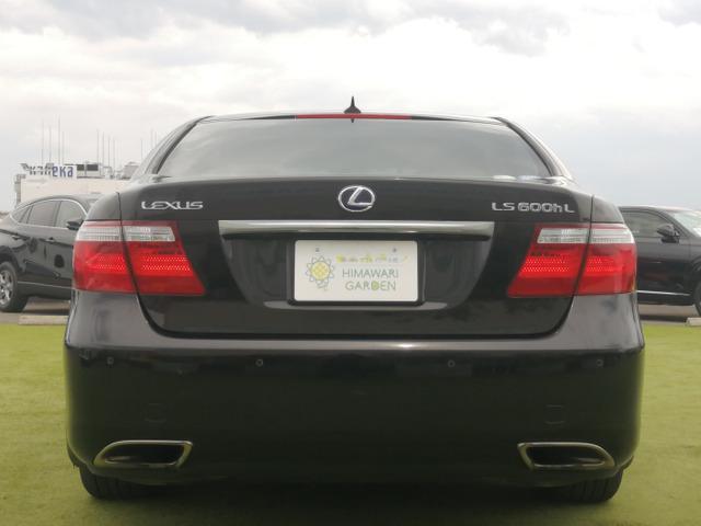 24579811_carP_l_16.jpg