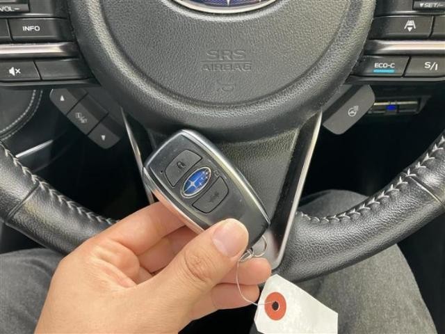 26606725_carP_l_8.jpg