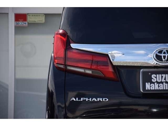26309680_carP_l_6.jpg