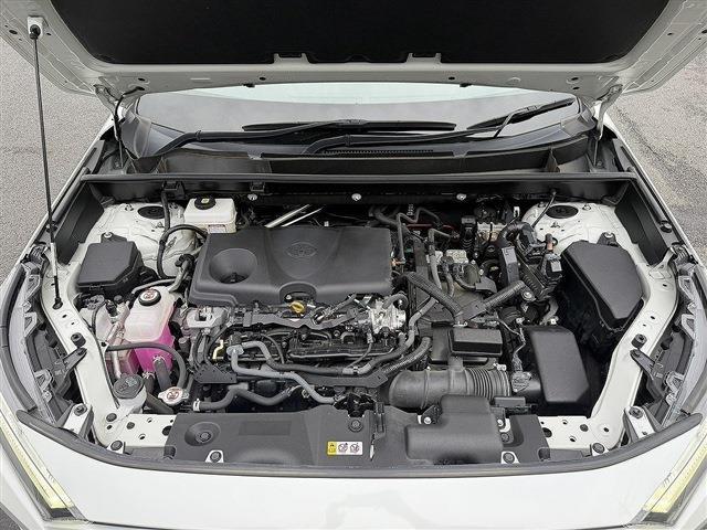 24731748_carP_l_20.jpg