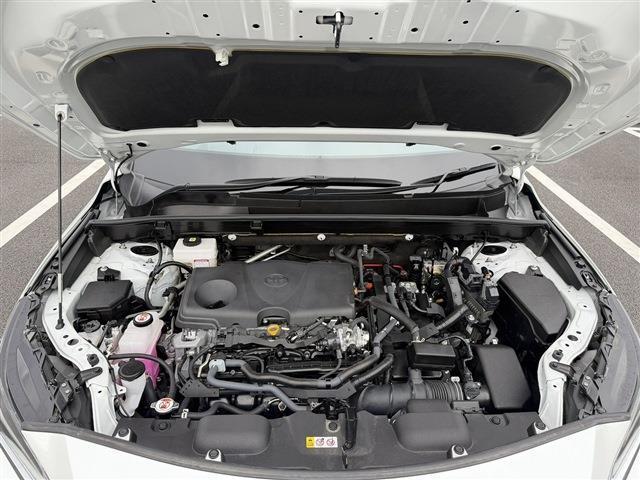 24731749_carP_l_20.jpg