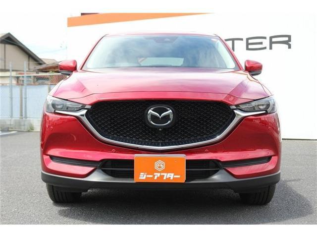 24731751_carP_l_17.jpg