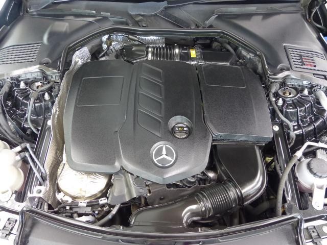 25807111_carP_l_20.jpg