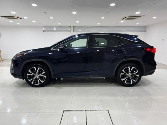 d5190964845b869100657daf04cb2e61.jpeg