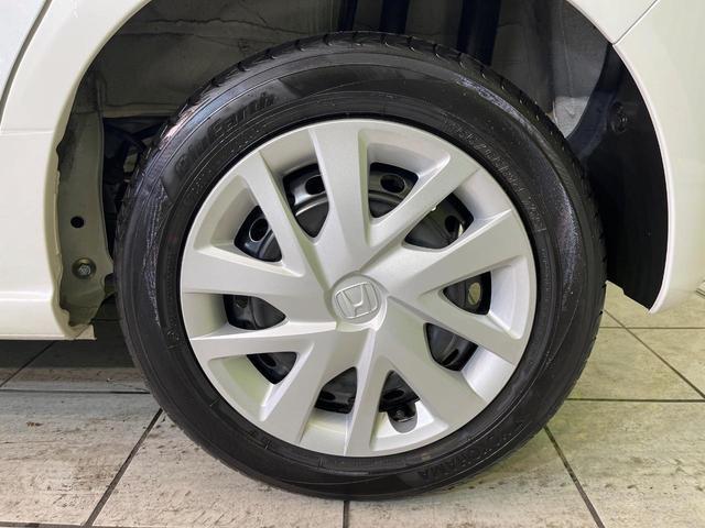 23734348_carP_l_7.jpg