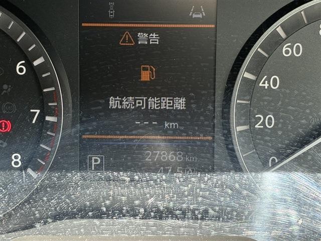 25556229_carP_l_15.jpg