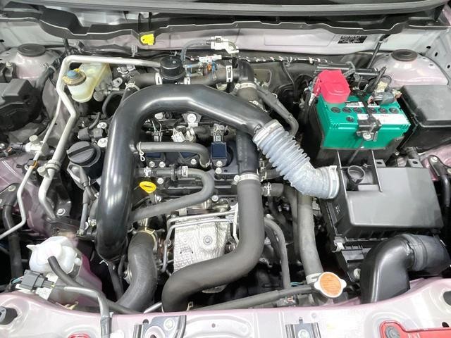 27204954_carP_l_16.jpg