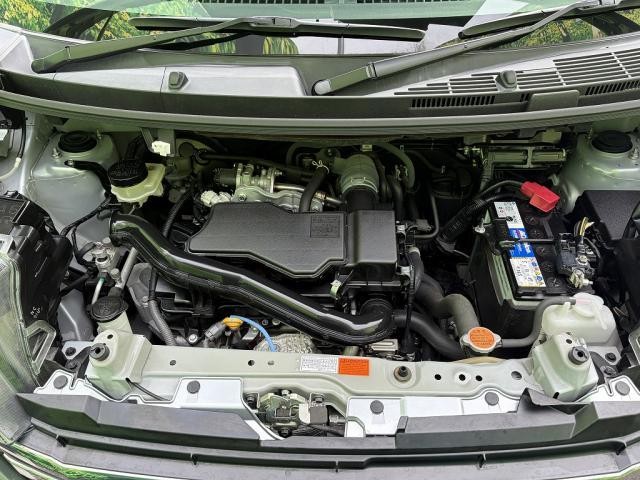 26579049_carP_l_20.jpg