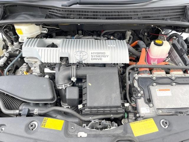 26988766_carP_l_16.jpg