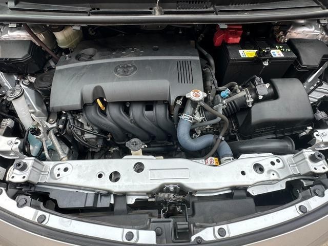 26084169_carP_l_18.jpg